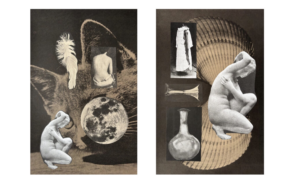 The Seers: Mystic Cats, Feminist Histories, and the Art of the Archive