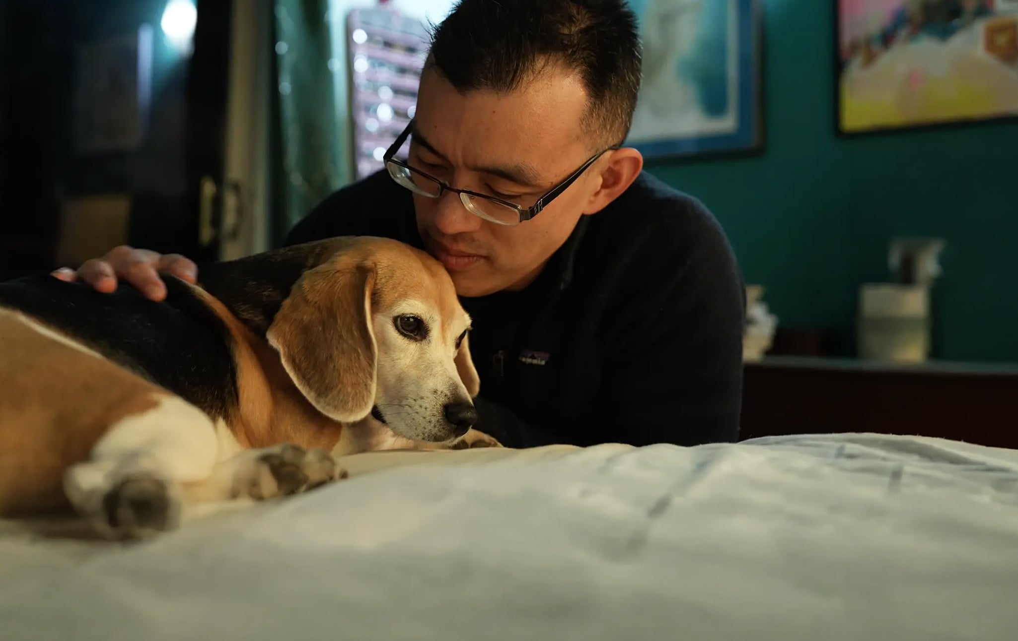 It’s My Civic Duty to Break Into Labs and Rescue Dogs