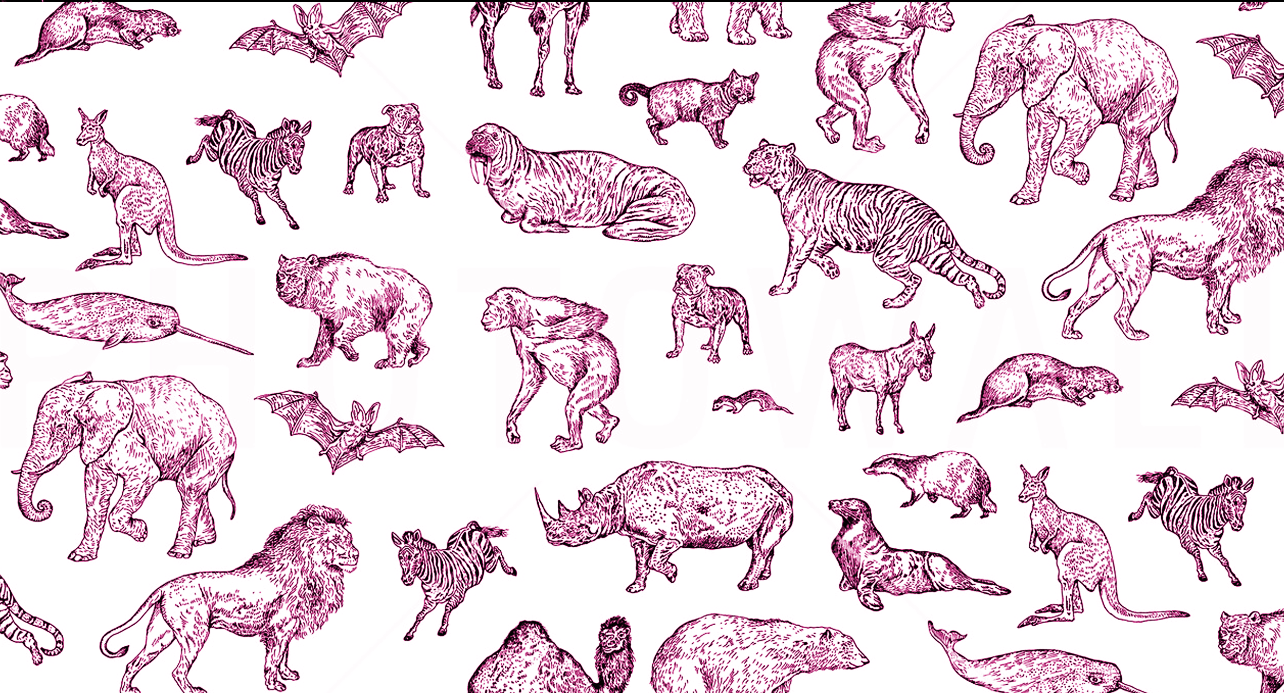 Why This Publication Cares About Animals