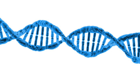 Revolutions in Drug Delivery
