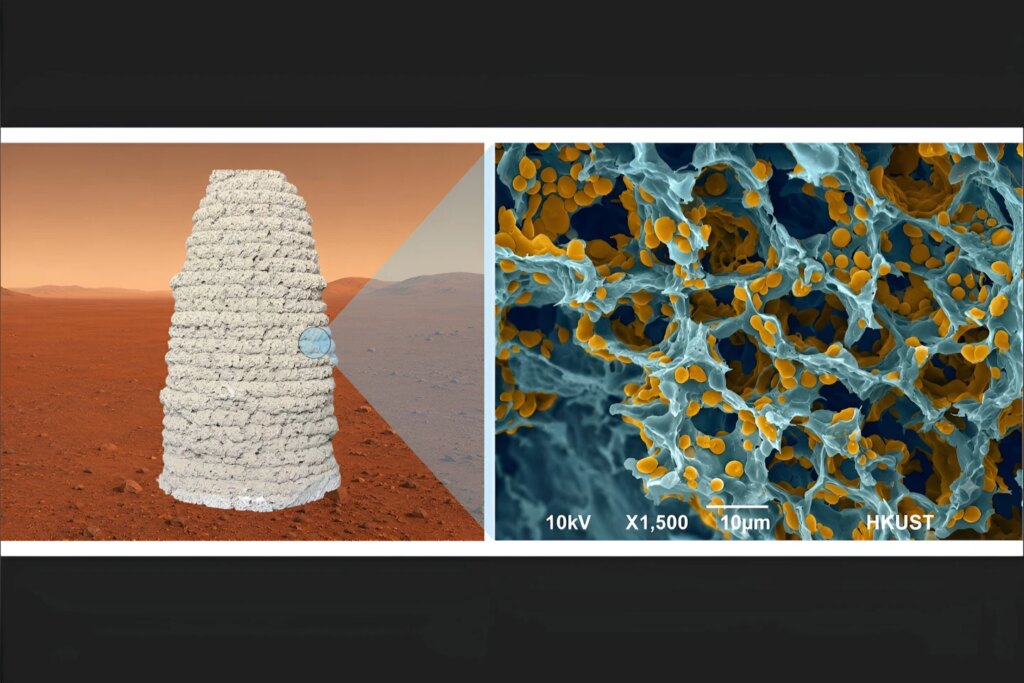The living building material was 3D-printed under simulated Martian conditions at –30 °C (-22 ºF) and 0.01 atm (left) – a microscope image reveals the material’s porous structure with polymers and engineered yeast highlighted in yellow (right)